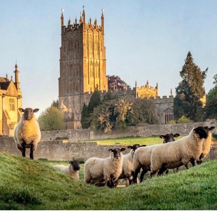 Vine Cottage Chipping Campden Dış mekan fotoğraf